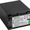 BATTERIE SONY NPFH100/NPFV100